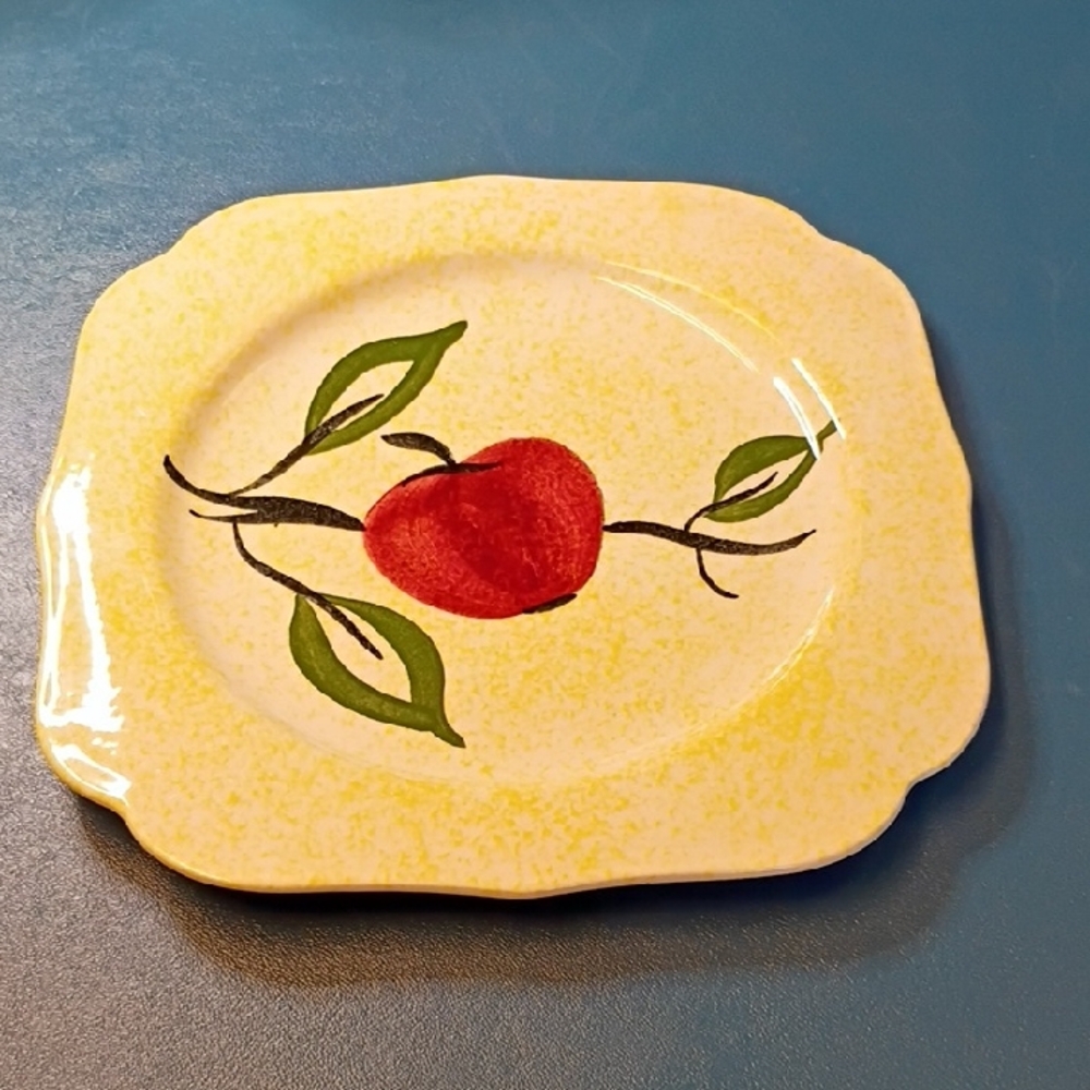 Blue Ridge Southern Pottery Apple Jack Plate Vintage Cottagecore Hand Painted